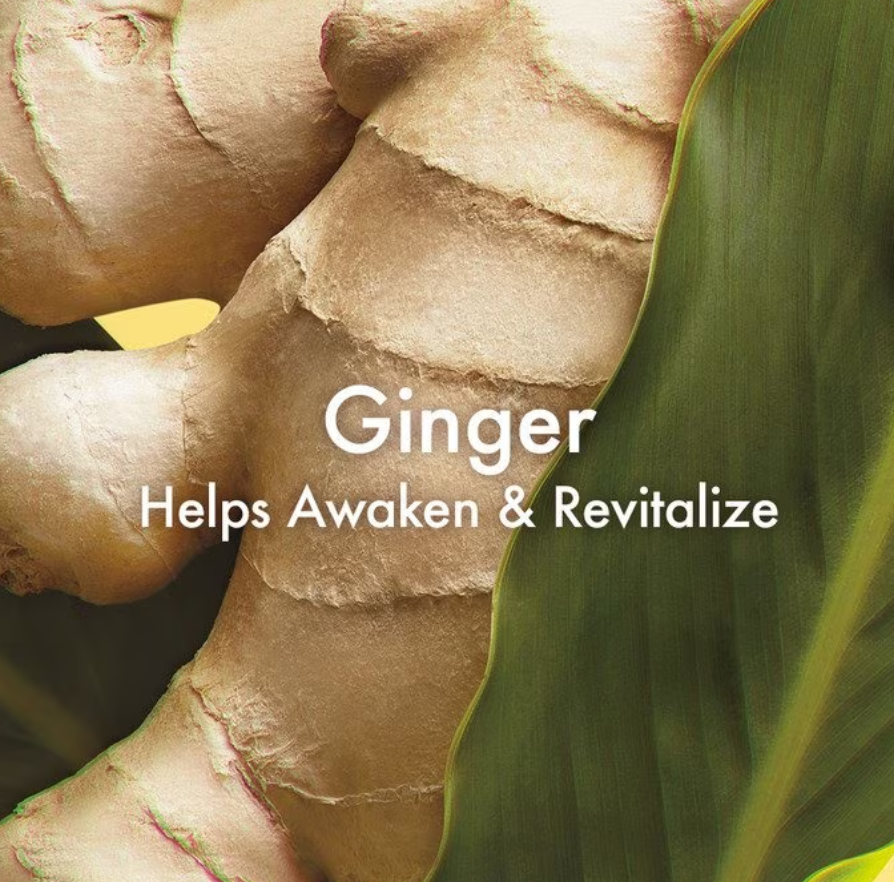 Smoothing Ginger Body Scrub