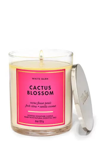 Cactus Blossom Signature Single Wick Candle - White Barn